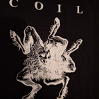 COIL t-paita koko M - pikkukuva 2