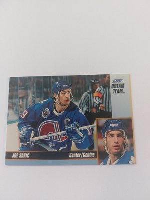 1993-94 Score Dream Team #14 Joe Sakic