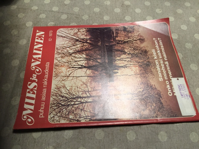 MIES JA NAINEN 12/1973 HYVÄ