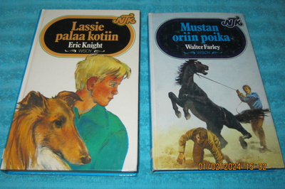 NTK 220. Mustan oriin poika - Walter Farley