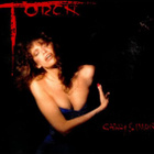 Carly Simon - Torch LP - pikkukuva 1