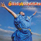 STEVE ARRINGTON::DANCIN'IN THE KEY OF LIFE:VINYYLI LP 1985 - pikkukuva 1
