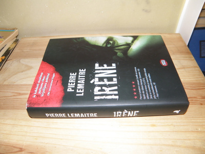 Pierre Lemaitre Irene (sidottu)