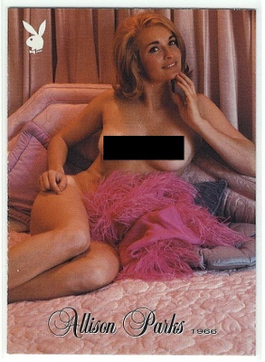 2003 Playboy Playmate of the Year #14 Allison Parks