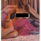 2003 Playboy Playmate of the Year #14 Allison Parks - pikkukuva 1