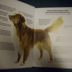 Nova Scotia Duck Tolling Retriever (2005) Sis.postikulut - pikkukuva 3
