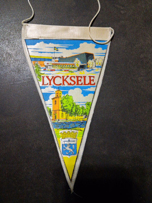 Viiri Lycksele