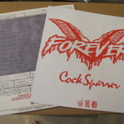Cock Sparrer Forever lp saksa 2017 uusi liite download - pikkukuva 2