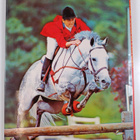 Elisabeth Johnson : All colour book of Horses : 100 illus... - pikkukuva 2