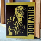 Billy Idol - taulu - pikkukuva 3