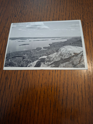 12 Koli