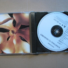MADONNA - Something To Remember - pikkukuva 3