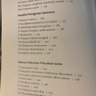 Paavo Castren: Pompeijilaisia kohtaloita - pikkukuva 3