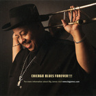 Big James & The Chicago Playboys: Right Here Right Now - pikkukuva 5