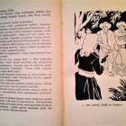 Aimard Gustave: Arkansasin armoton aavikko, v. 1947 - pikkukuva 4