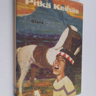 Pitkä keihäs : intiaanipäällikön elämä - pikkukuva 1