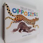 Brendan Wenzel : Hello hello : Opposites - pikkukuva 1