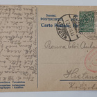 Hämeenlinna, Aulanko, karhupatsas, p. 1916 + sensuuril. - pikkukuva 2