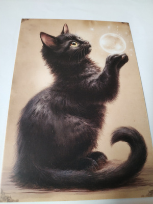 Kissa kortti,kulkematon.