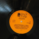 Chuck Berry:20 Greatest Hits LP - pikkukuva 3