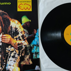 Thomas Mapfumo: Shumba  vinyyli lp - pikkukuva 1