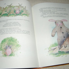 Laulajainen - Louhi Alvar avaruusjänis - pikkukuva 2