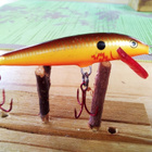 Rapala  Floating vaappu 6,5cm - pikkukuva 1