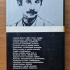Andrei Belyi: Peterburg - pikkukuva 2