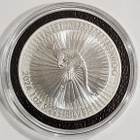 Australia 1 Dollarin hopearaha 2024 Kenguru - pikkukuva 2