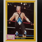 1993 Merlin WWF #147 Ludvig Borga/Tony Halme - pikkukuva 1