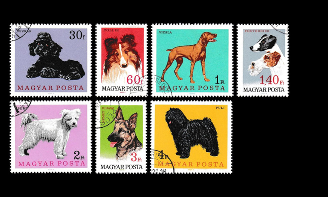 Unkari 2337-43 o Koiria (1967)