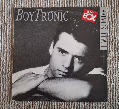 Boytronic - I Will Survive
