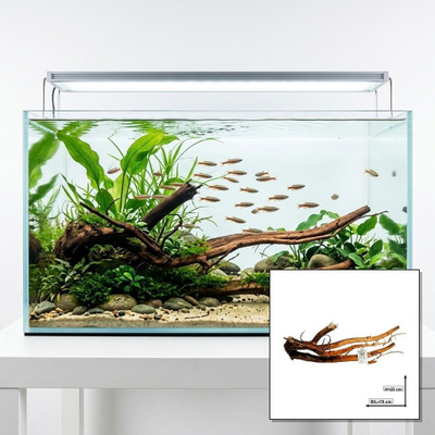 Uniikki akvaariojuurakko 70 cm | nr39A