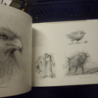 Olli Joki: Piirroksia - Teckningar drawings (Sis.postikulut) - pikkukuva 4