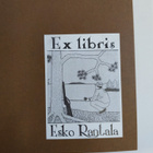Jukka L. Mäkelä : Taipaleenjoki - pikkukuva 3