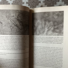 Harari: Sapiens. Ihmisen lyhyt historia - pikkukuva 3