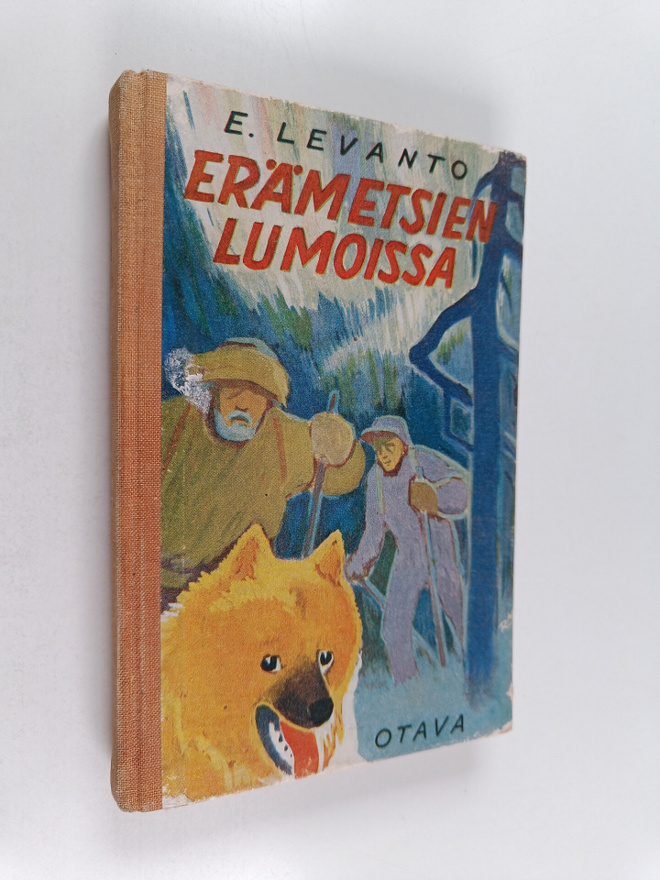 Erkki Th Levanto : Erämetsän lumoissa : poikien metsästys...