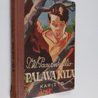 T. W. Paavonkallio : Palava kylä : seikkailukertomus 30-v... - pikkukuva 1