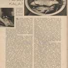 Kotilliesi n:o 10 1940 Kannen Design Martta Wendelin. - pikkukuva 5