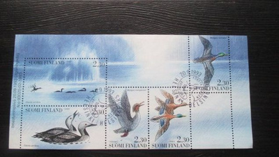 Vesilintuja 1993