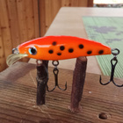 Jesse Junior 5cm - pikkukuva 2
