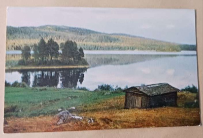 Mänttä-Vilppula, Salojärvi, rantamaisemaa, ei p.