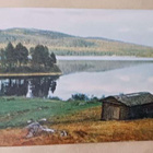 Mänttä-Vilppula, Salojärvi, rantamaisemaa, ei p. - pikkukuva 1