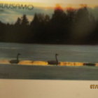KUUSAMO 1988 KULKENUT KORTTI - pikkukuva 1