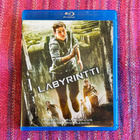 BRD: Labyrintti - pikkukuva 1