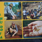 KULKENUT -75 LAPPI LUOSTO ERIKOISLEIMALLA - pikkukuva 1