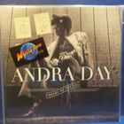 ANDRA DAY - CHEERS TO THE FALL M-/M- EU 2015 AUG 28 2LP - pikkukuva 1