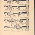 Pääskynen 11-12/1925 - pikkukuva 3
