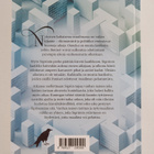 Andri Snaer Magnason : Aika-arkku - pikkukuva 2