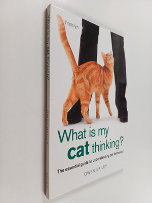 Gwen Bailey : What is My Cat Thinking?